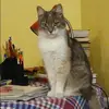 Отзыв от Виктория Позднякова